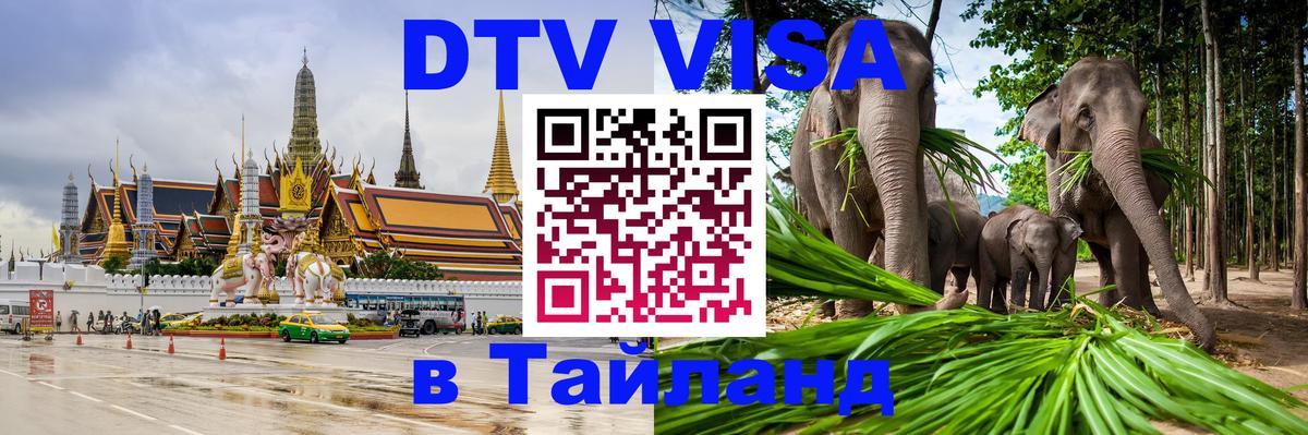 DTV (ДТВ) visa Таиланд 
